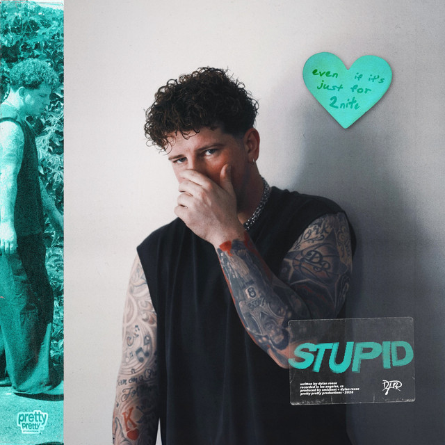 'stupid' cover art