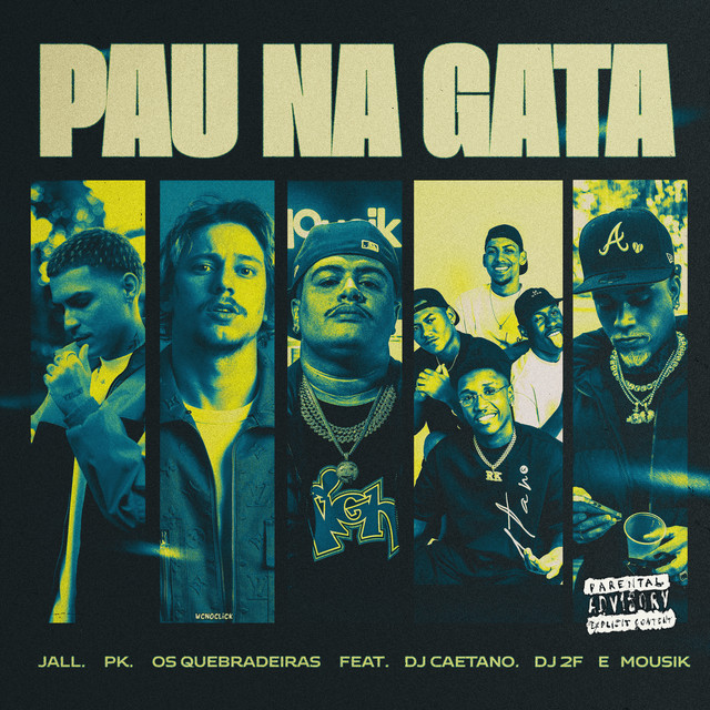 'Pau na Gata (Remix)' cover art