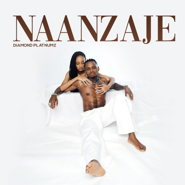 'Naanzaje' cover art