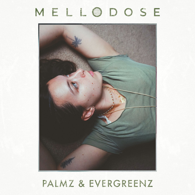 'Palmz & Evergreenz' cover art