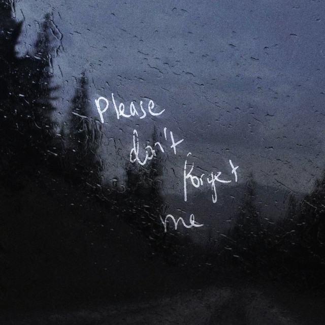 'Please don't forget me' cover art