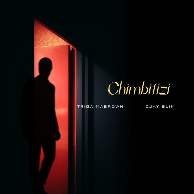 'CHIMBITIZI' cover art