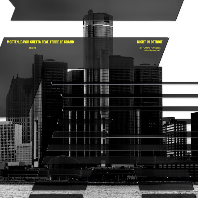 'Night In Detroit (feat. Fedde Le Grand)' cover art