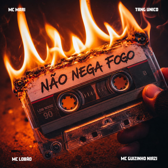 'NÃO NEGA FOGO' cover art