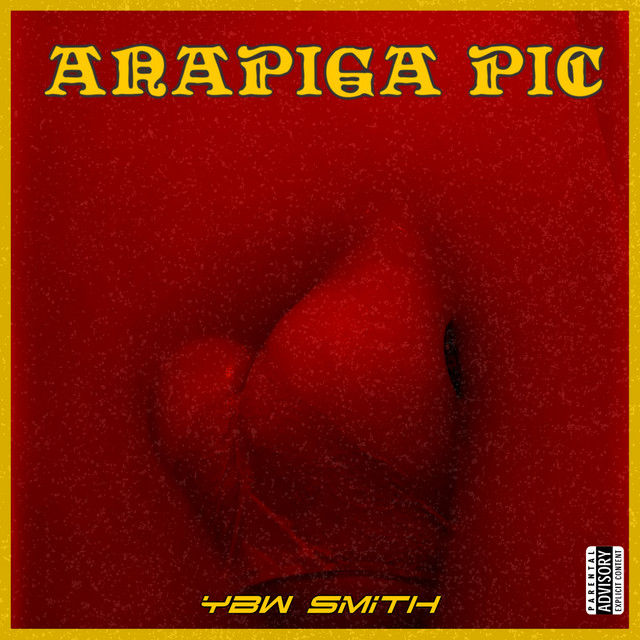 'ANAPIGA PIC' cover art