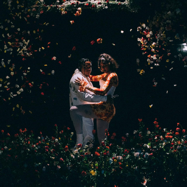 'Hoy Amanecí' cover art