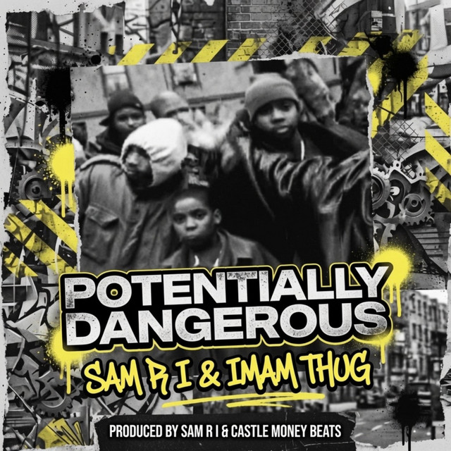 'Potentially Dangerous' cover art