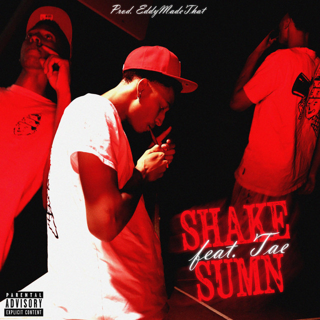 'Shake Sumn' cover art