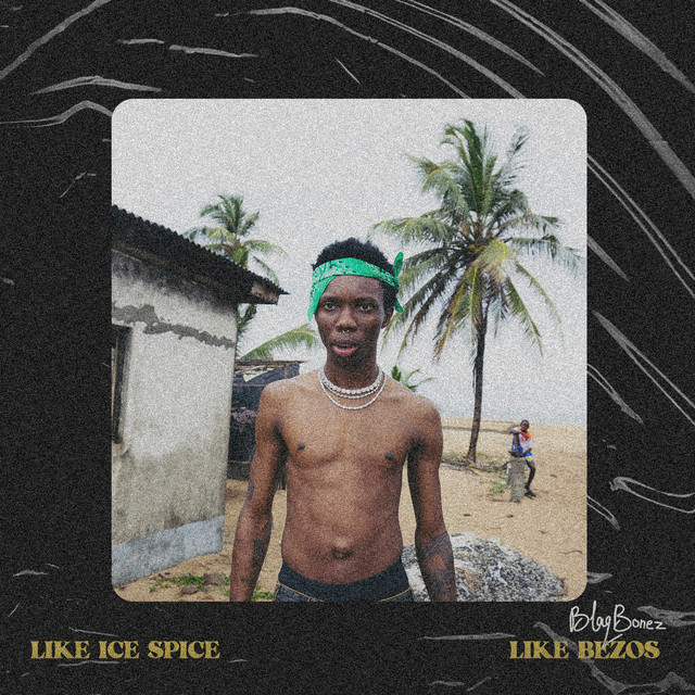 'Like Ice Spice / Bezos' cover art