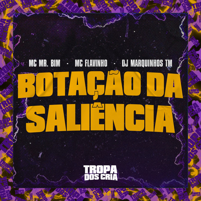 'Botação da Saliência' cover art