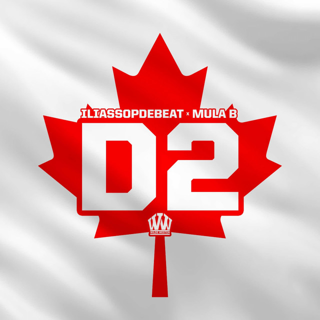 'D2' cover art