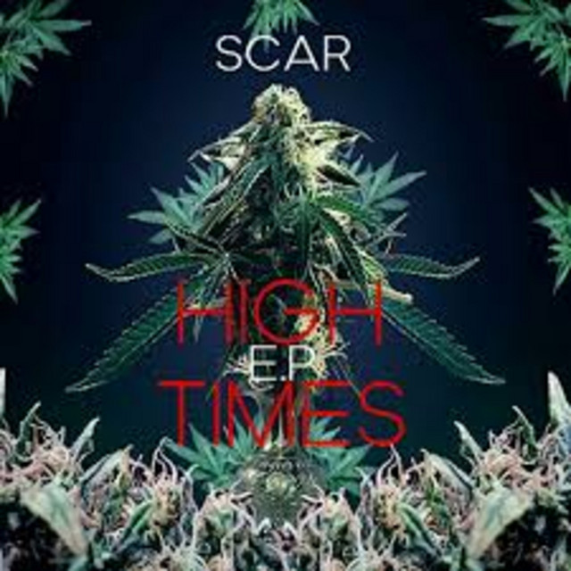 'High Times' cover art