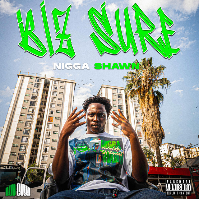 'Biz Sure' cover art