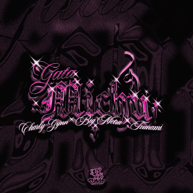 'Gata Michu' cover art