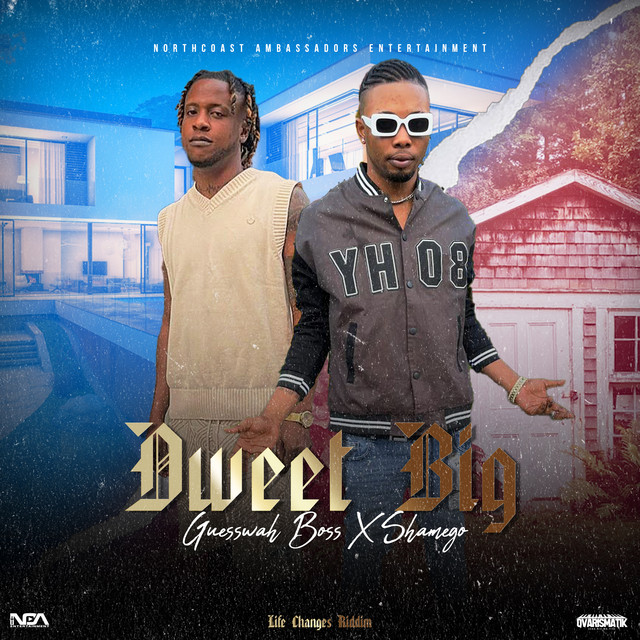 'Dweet Big' cover art