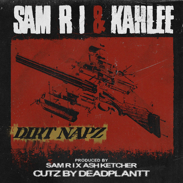 'DIRT NAPZ' cover art