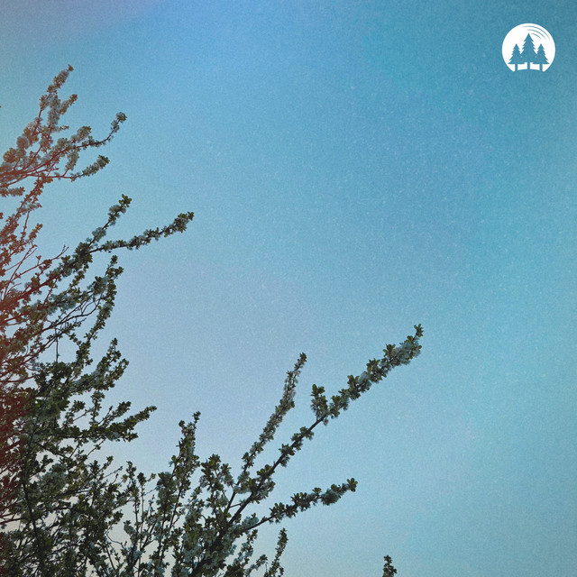 'Notions' cover art