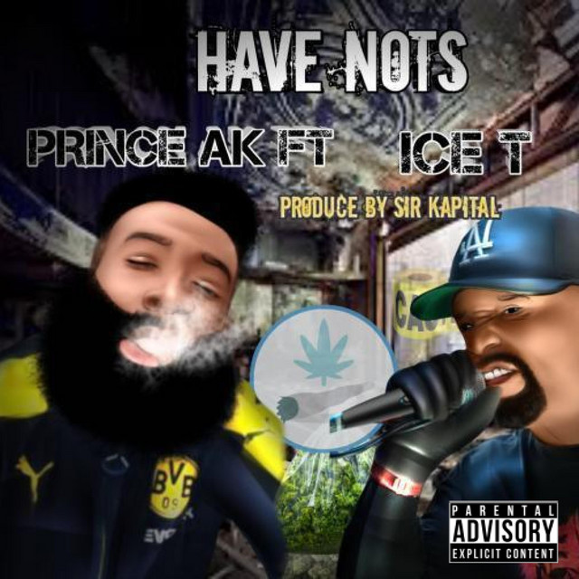 'Have Nots' cover art