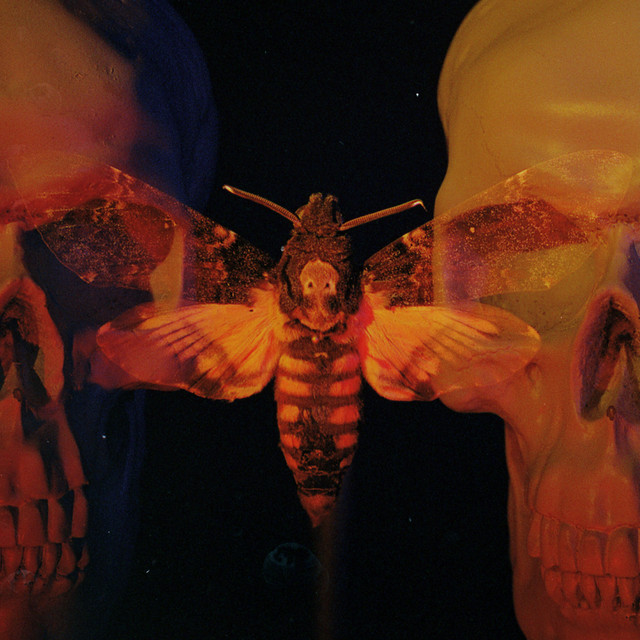 'Fatal Flaw' cover art
