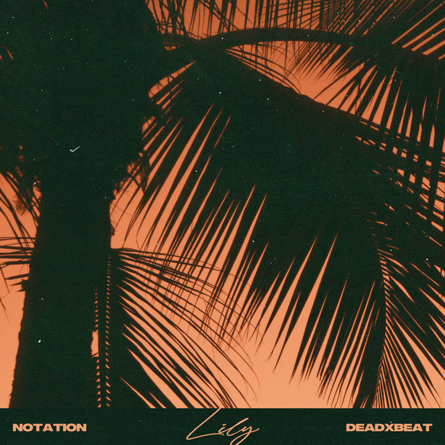 'Lily' cover art