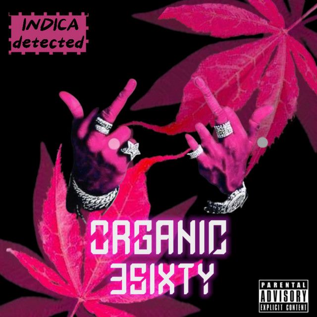 'Organic (Radio Edit)' cover art