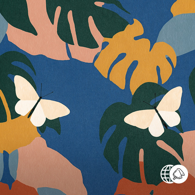 'Flutter' cover art
