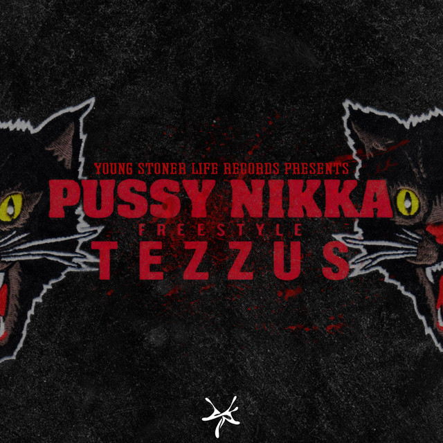 'Pussy Nikka Freestyle' cover art
