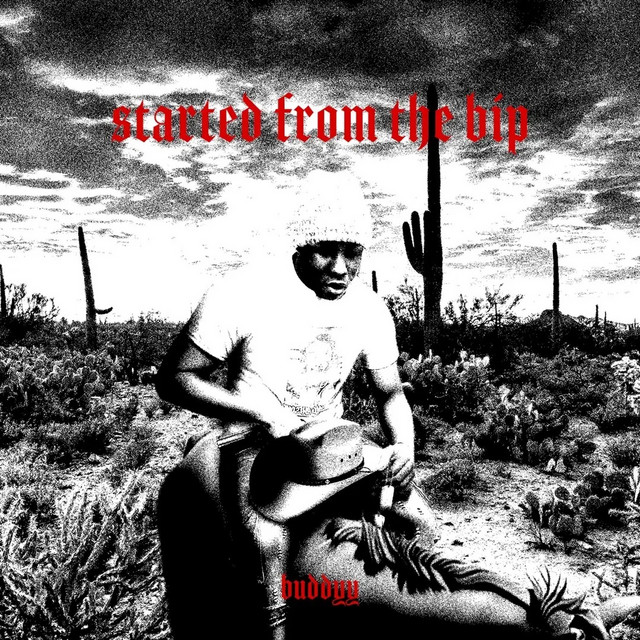 'Started From The Bip' cover art