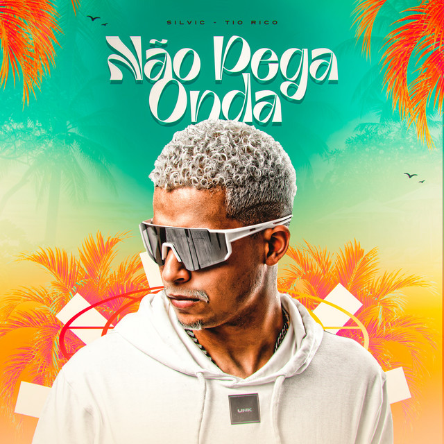 'Não Pega Onda' cover art