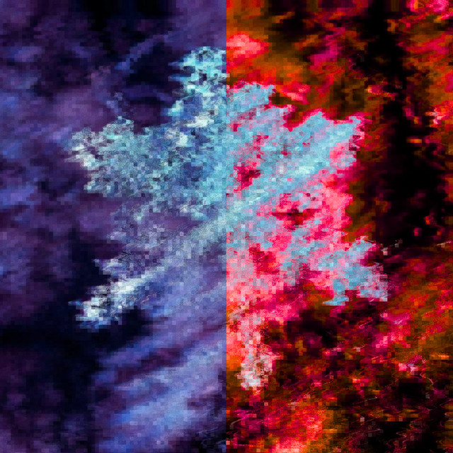 'insensate winter.' cover art