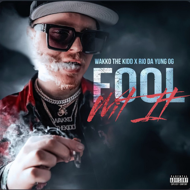'Fool Wit It' cover art