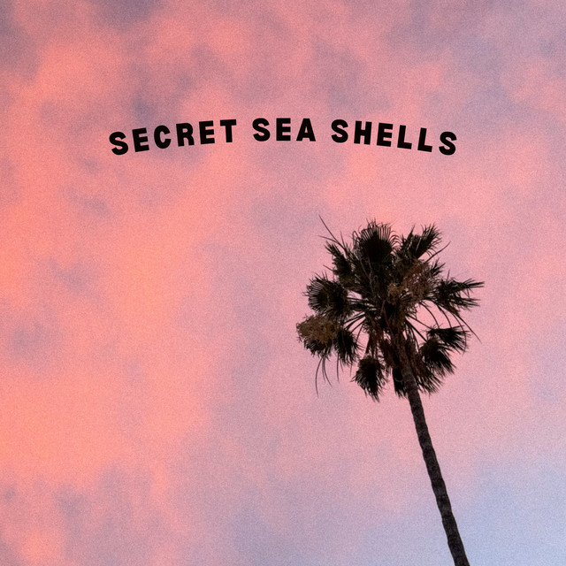 'Secret Sea Shells' cover art