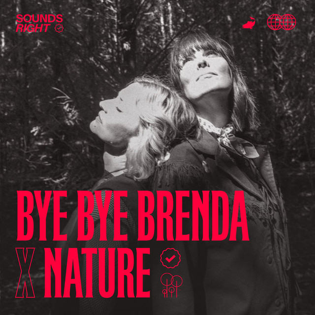 'Worry Never Wins (feat. NATURE)' cover art