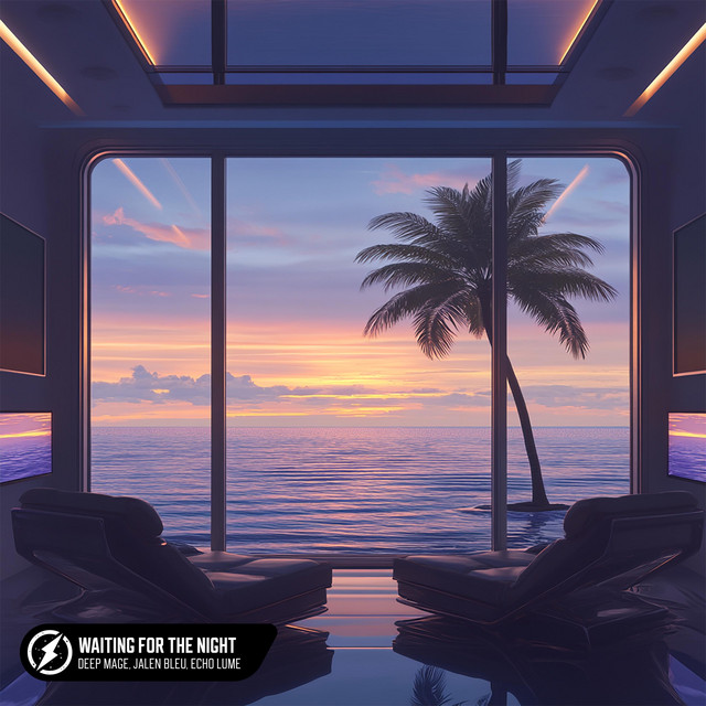 'Waiting For The Night' cover art