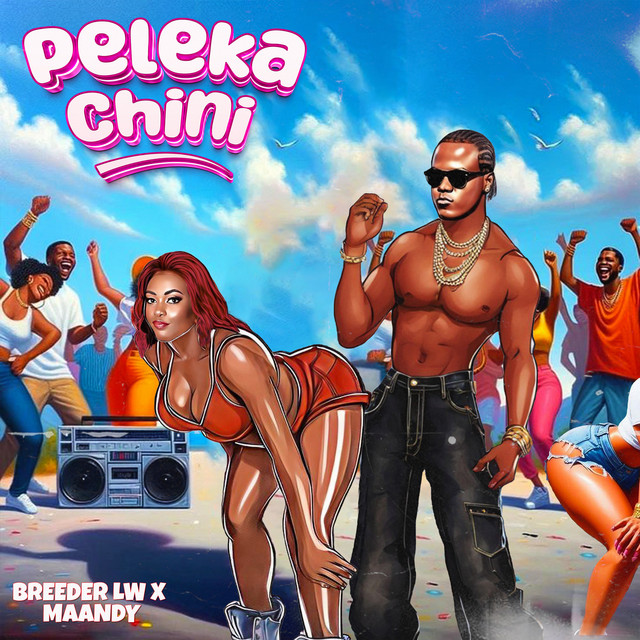 'Peleka Chini' cover art