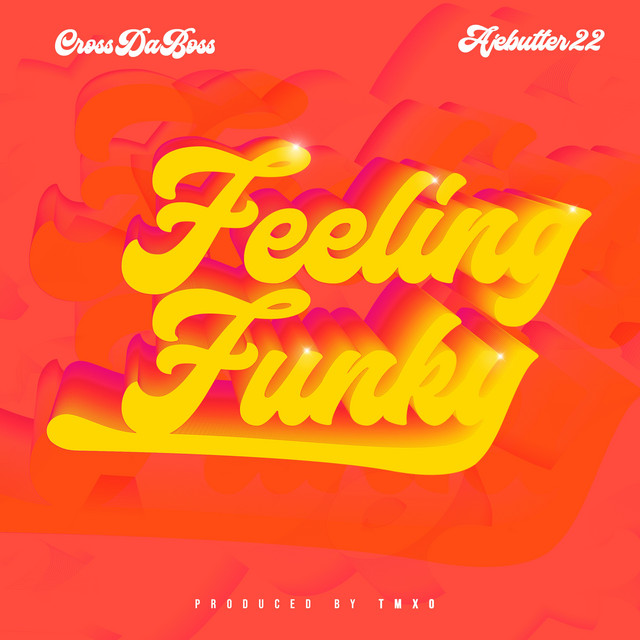 'Feeling Funky' cover art