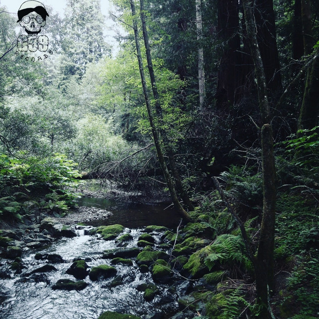 'Meet Me Where the River Turns Grey' cover art
