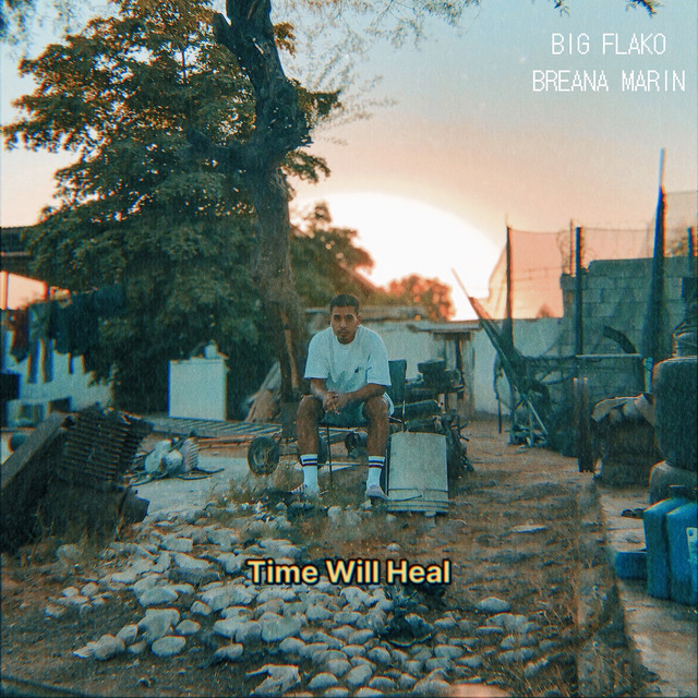'Time Will Heal' cover art