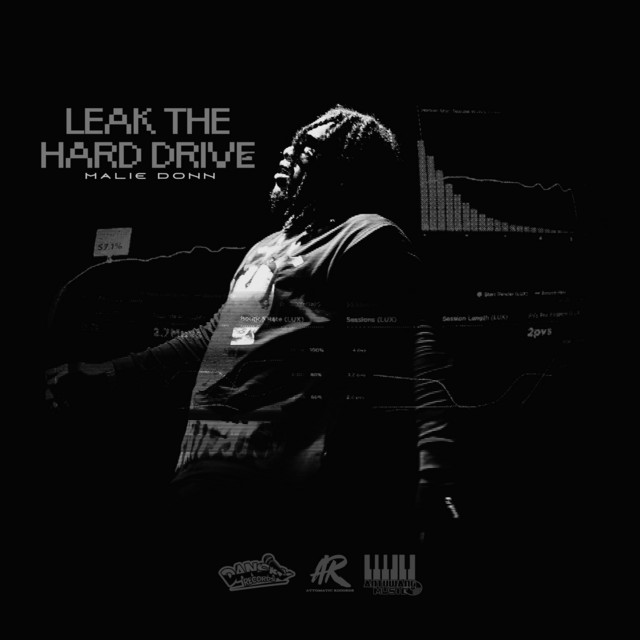 'Leak The Hard Drive' cover art