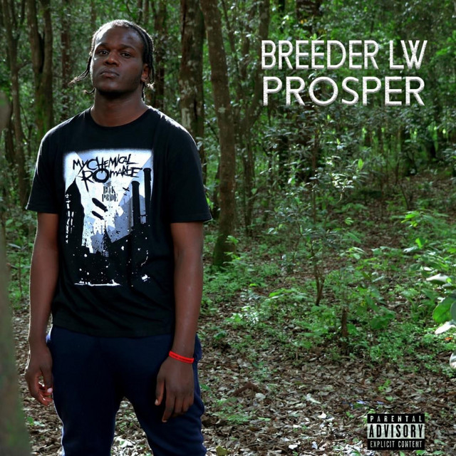 'Prosper' cover art