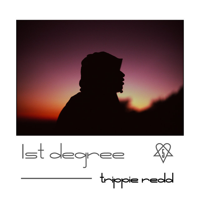 '1st Degree Murder' cover art