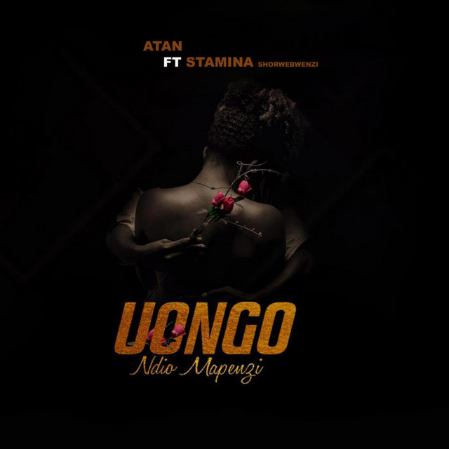 'Uongo Ndio Mapenzi' cover art