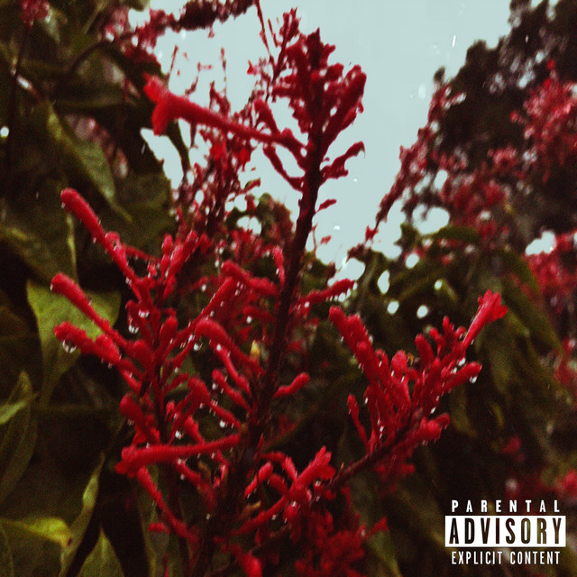 'Olha a Gente Brigando Dnv' cover art