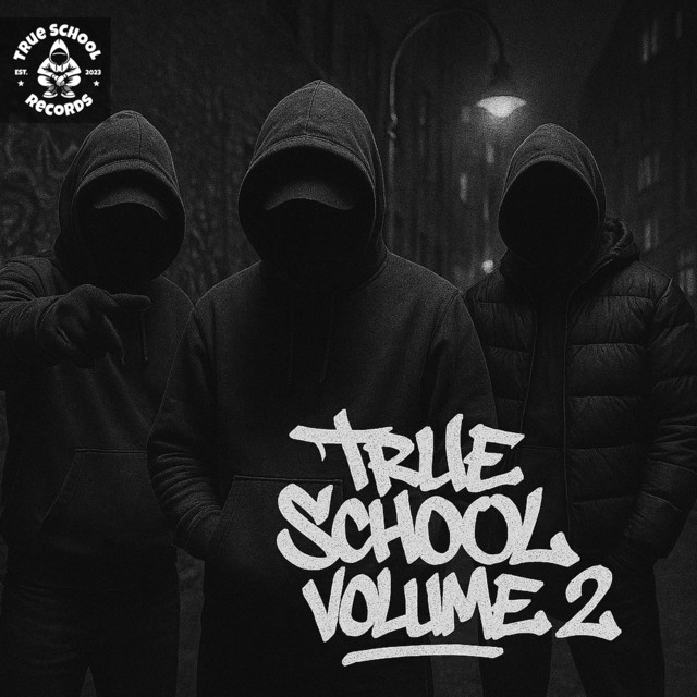 'True School Records - Vol. 2' cover art