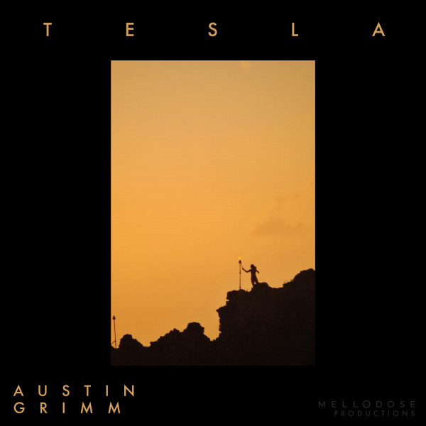 'Tesla' cover art
