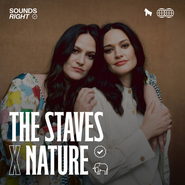 'Make a Decision - Vorsen Remix (feat. NATURE)' cover art