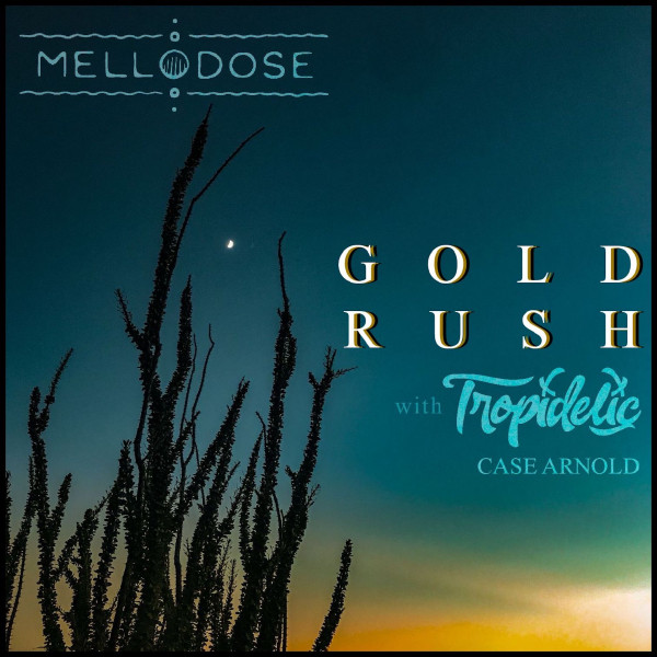'Gold Rush' cover art