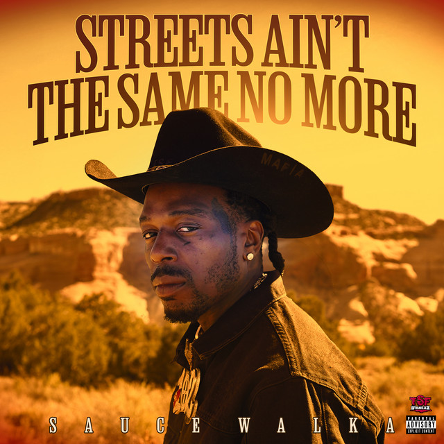 'Streets Ain't The Same No More' cover art
