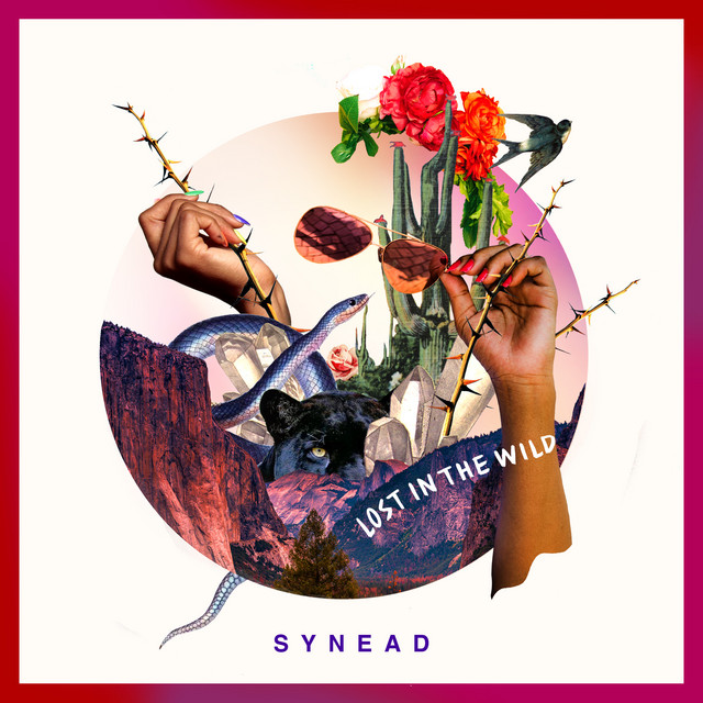'Lost In The Wild' cover art