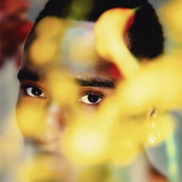 'BLOOM' cover art